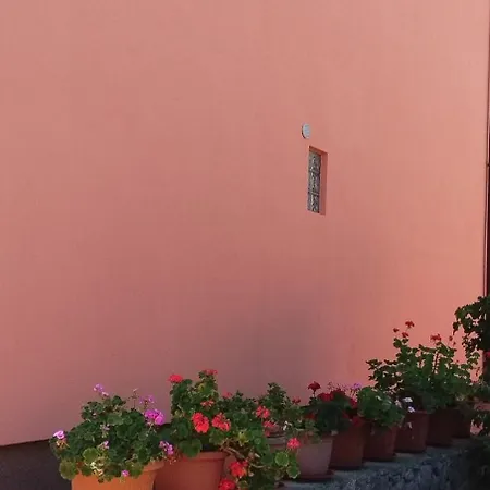 Apartment Velo Veli Losinj